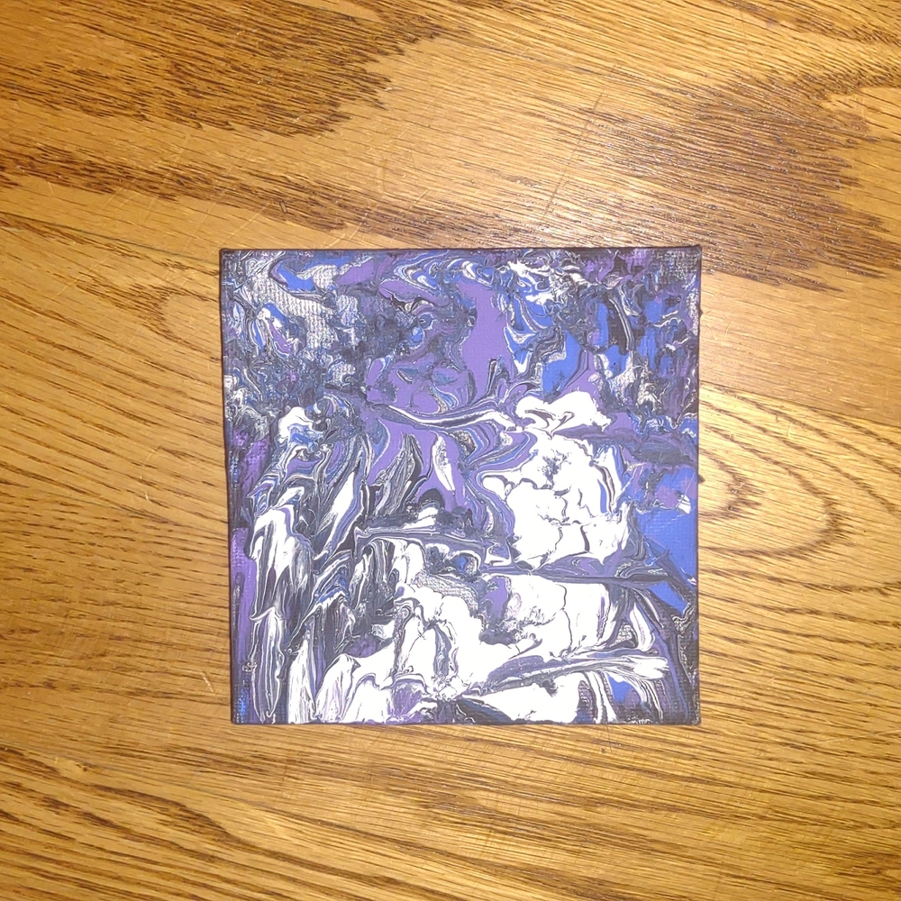 Mini Canvas drip panting 4x4